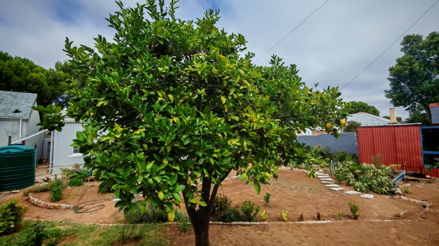 3 Bedroom Property for Sale in Cradock Eastern Cape